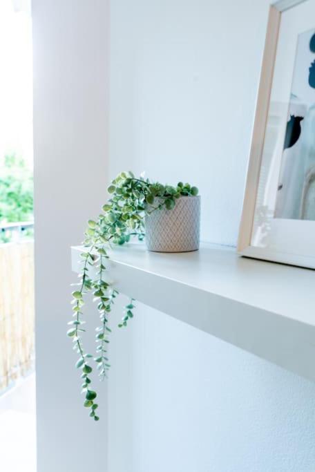 Grape Apartment Bratislava Esterno foto