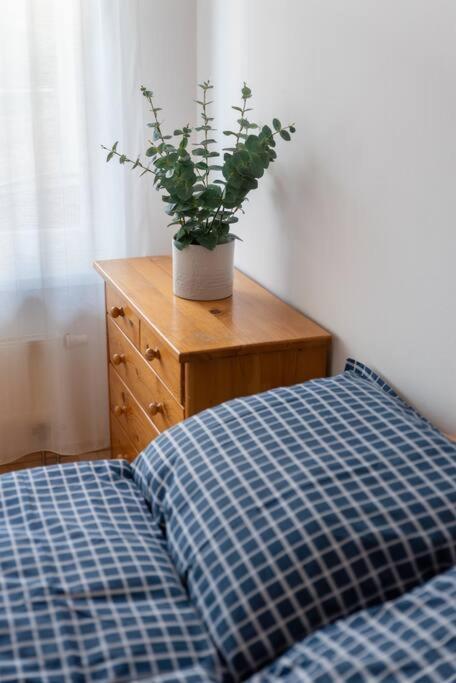 Grape Apartment Bratislava Esterno foto