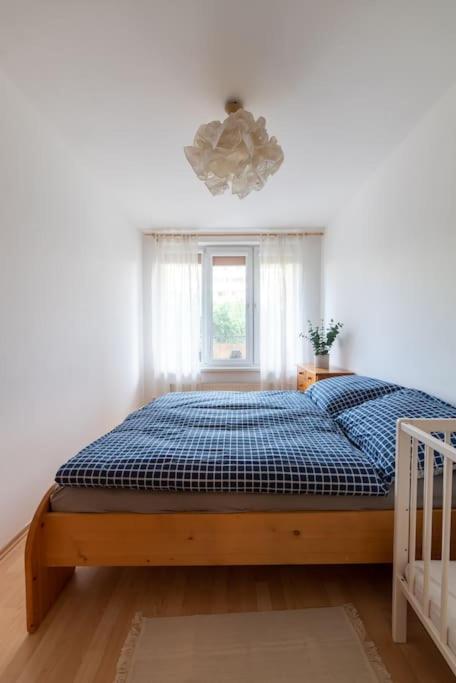 Grape Apartment Bratislava Esterno foto