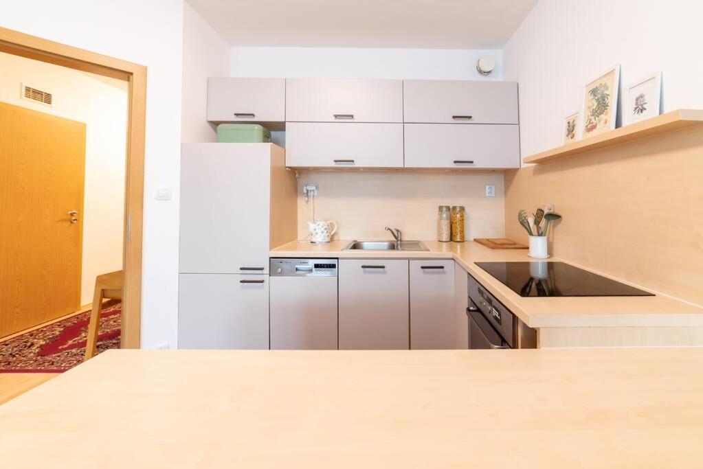 Grape Apartment Bratislava Esterno foto